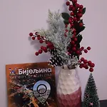 Splendid J&r * Bijeljina