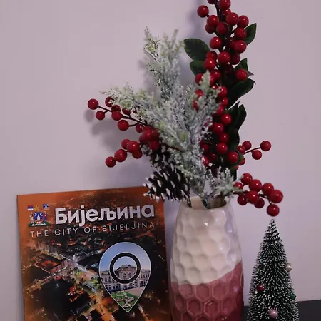 Splendid J&r * Bijeljina